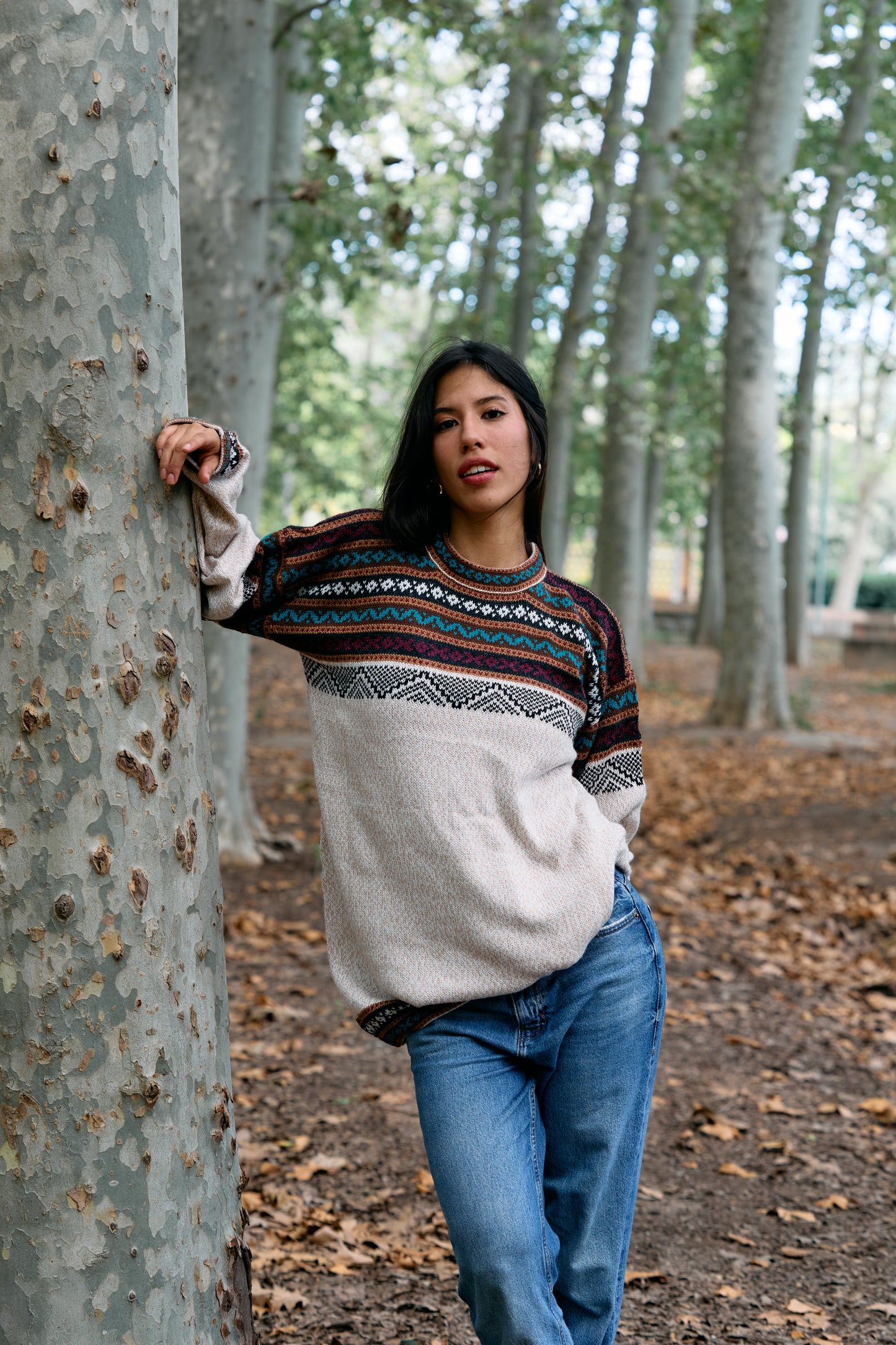 Peruvian alpaca Inca sweater