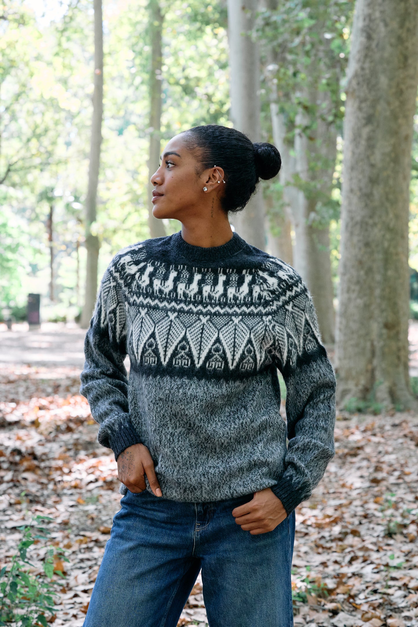 Peruvian alpaca marled sweater