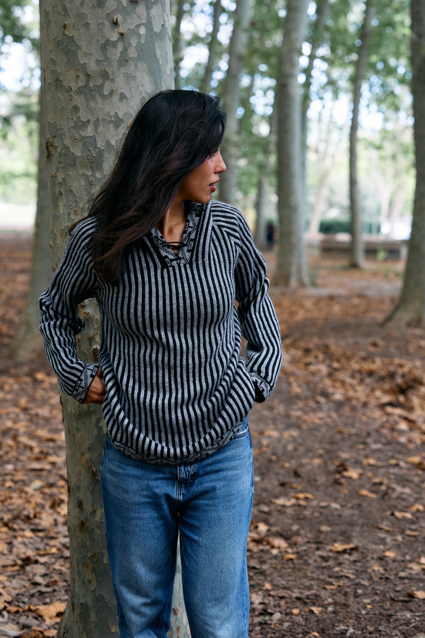 Peruvian Striped Alpaca Sweater