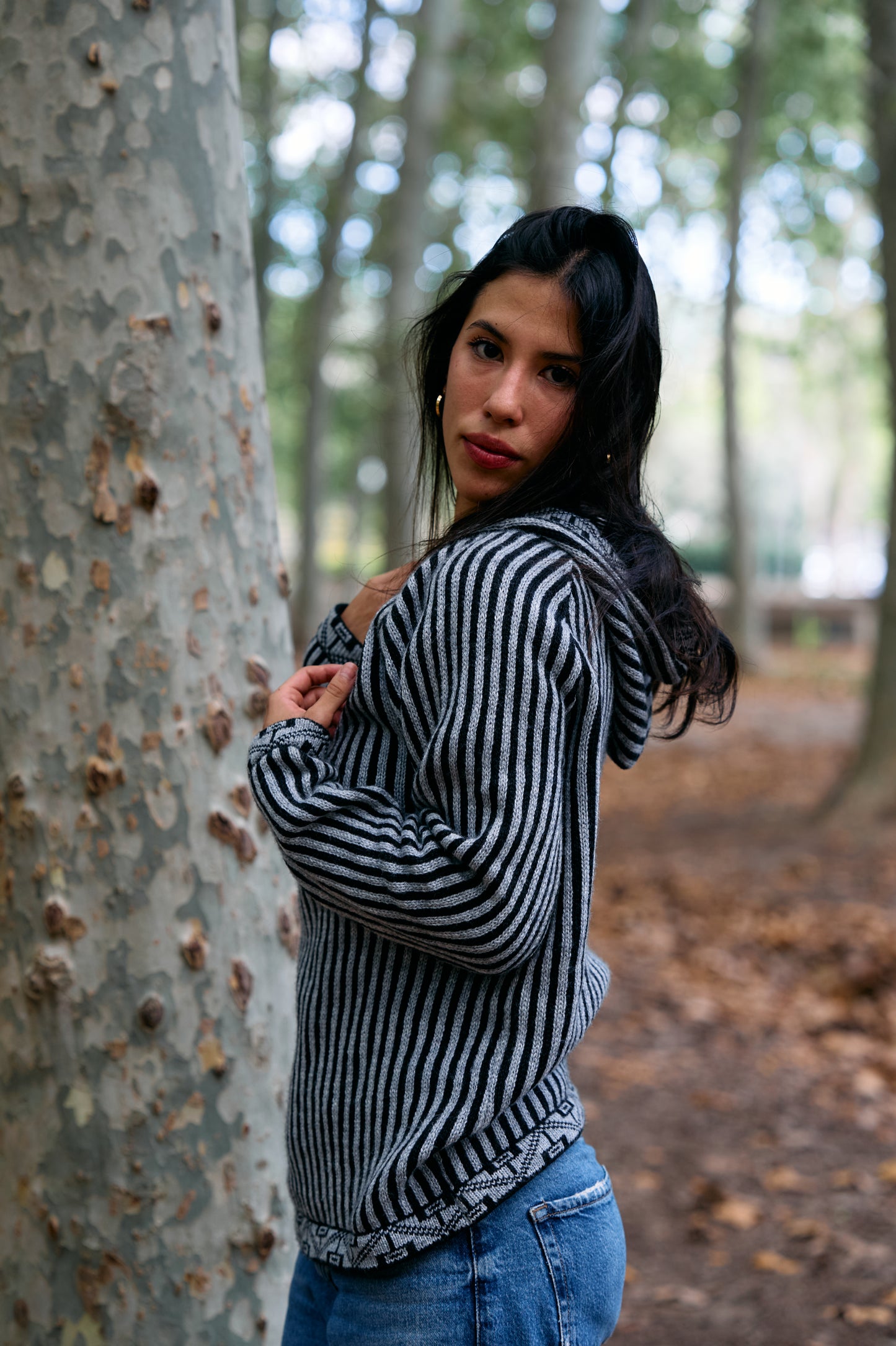 Peruvian Striped Alpaca Sweater